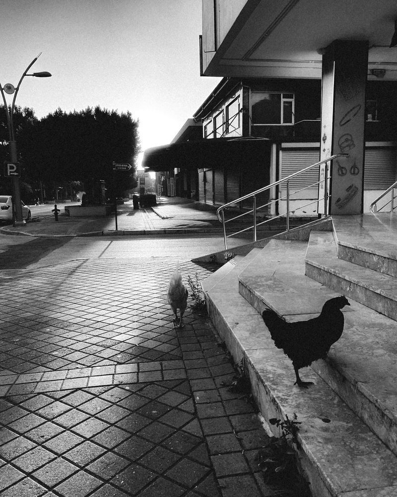 Photograph by YEVGENIYA Berman