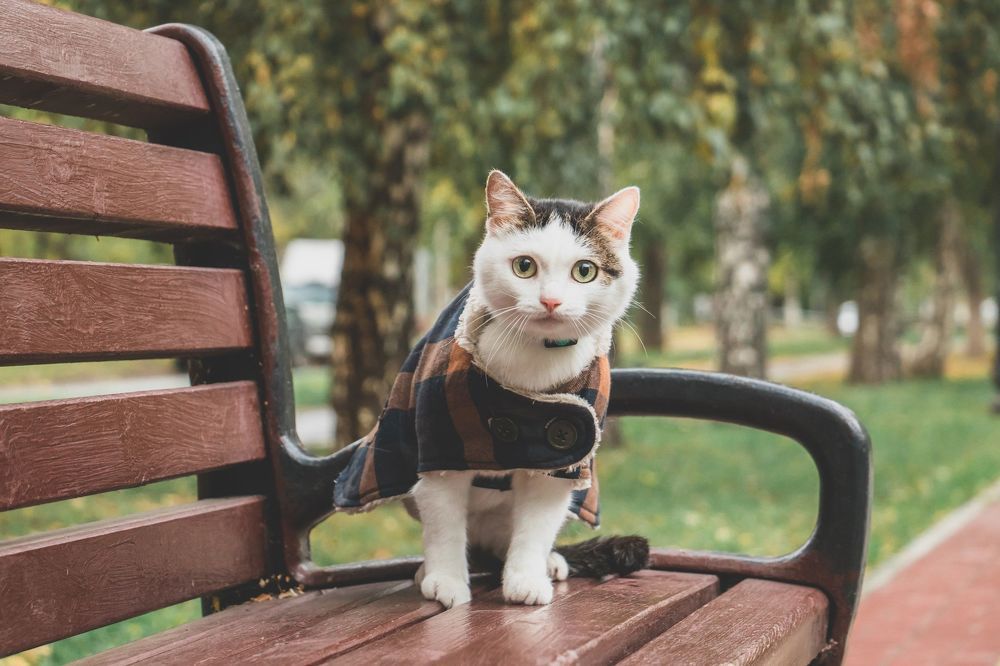 Photograph by Анна Вербилова