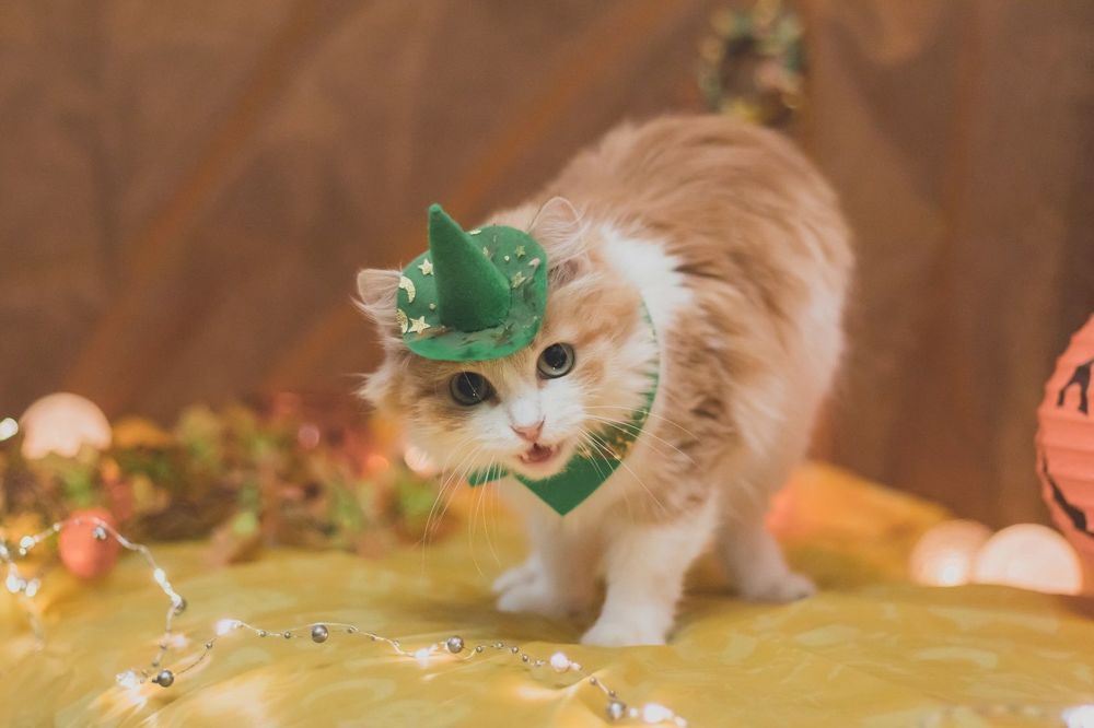 Photograph by Анна Вербилова