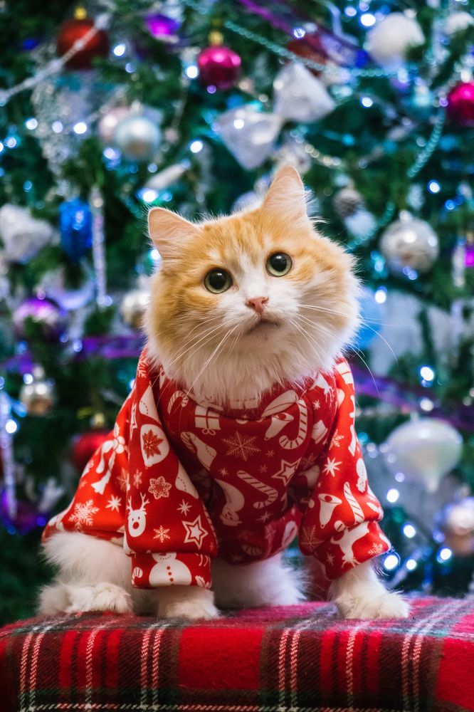 Photograph by Анна Вербилова