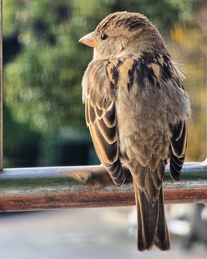 Photograph by Евгений Фесенко