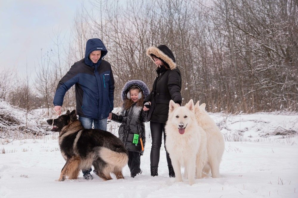 Photograph by Елена Мороз