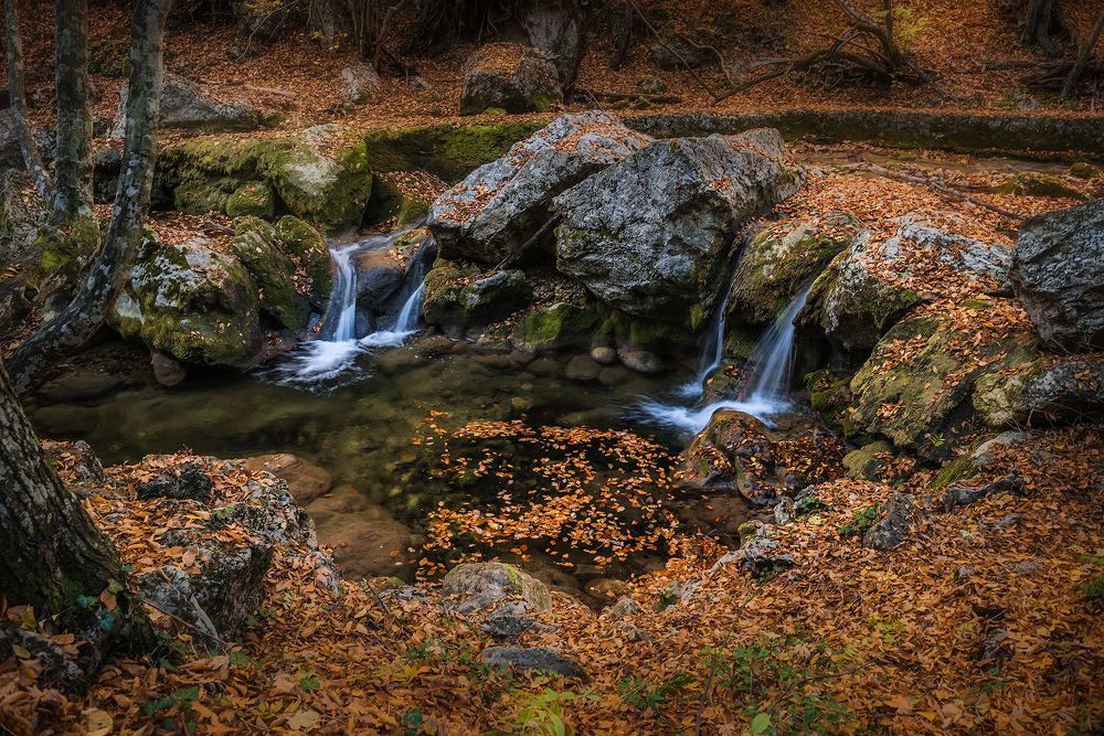 Photograph by Владимир Яковлев