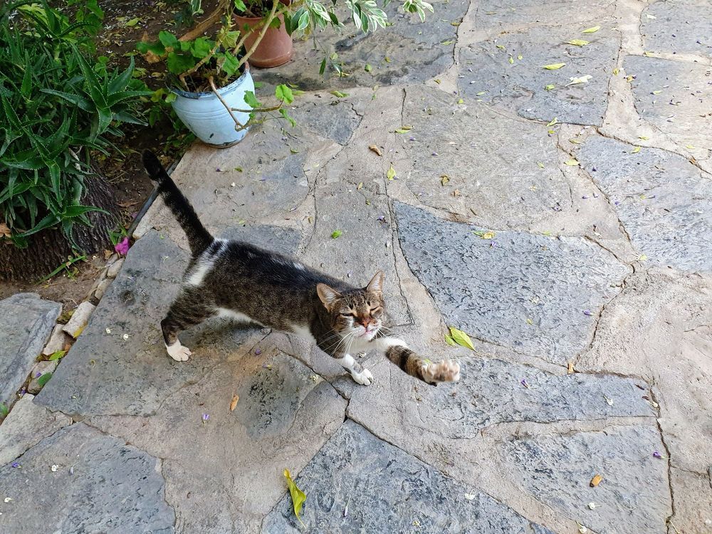 Photograph by Jasmina Zafer