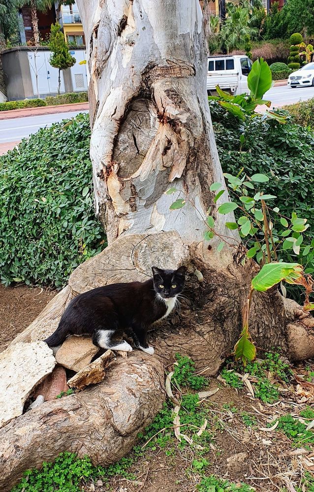 Photograph by Jasmina Zafer