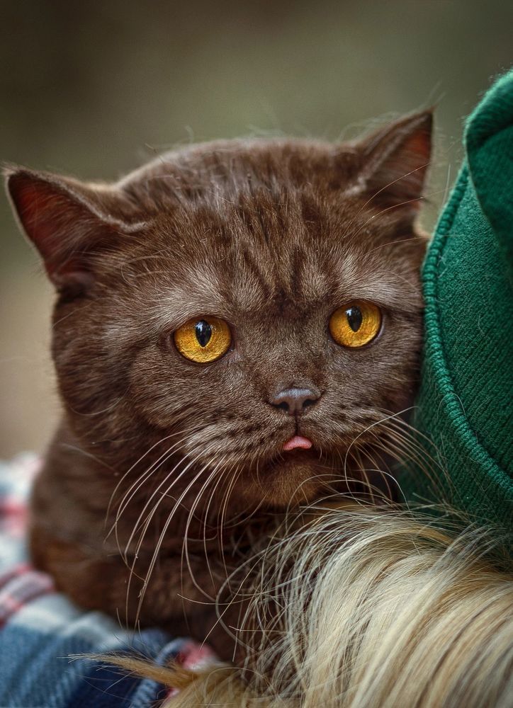 Photograph by Елена Власова