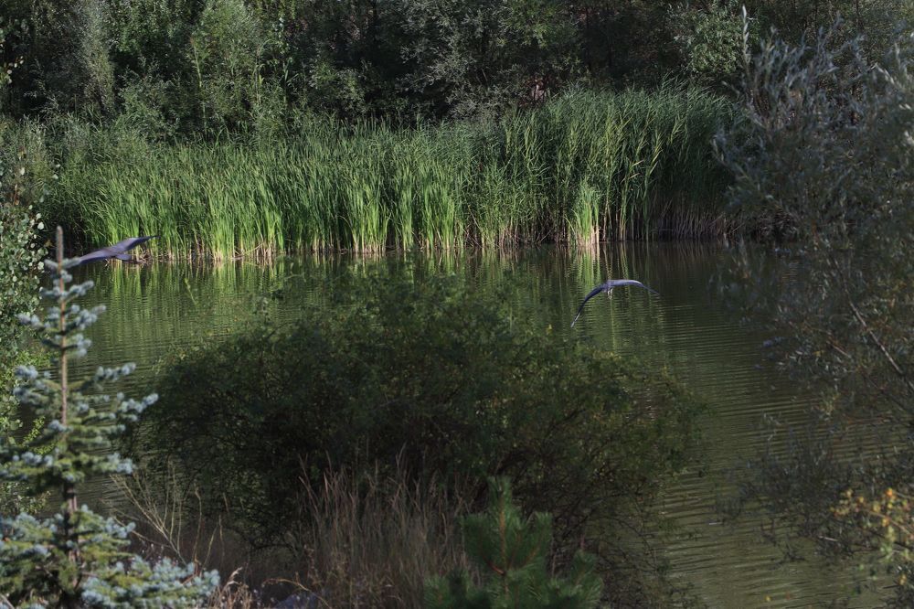 Photograph by Buket Demirel