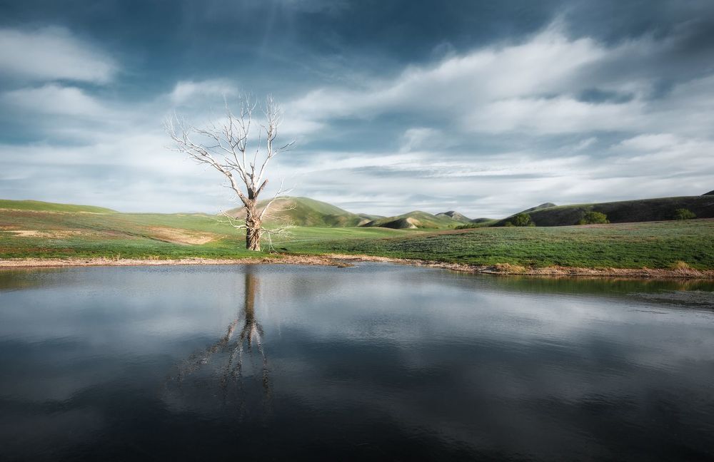 Photograph by Sergey Shilling