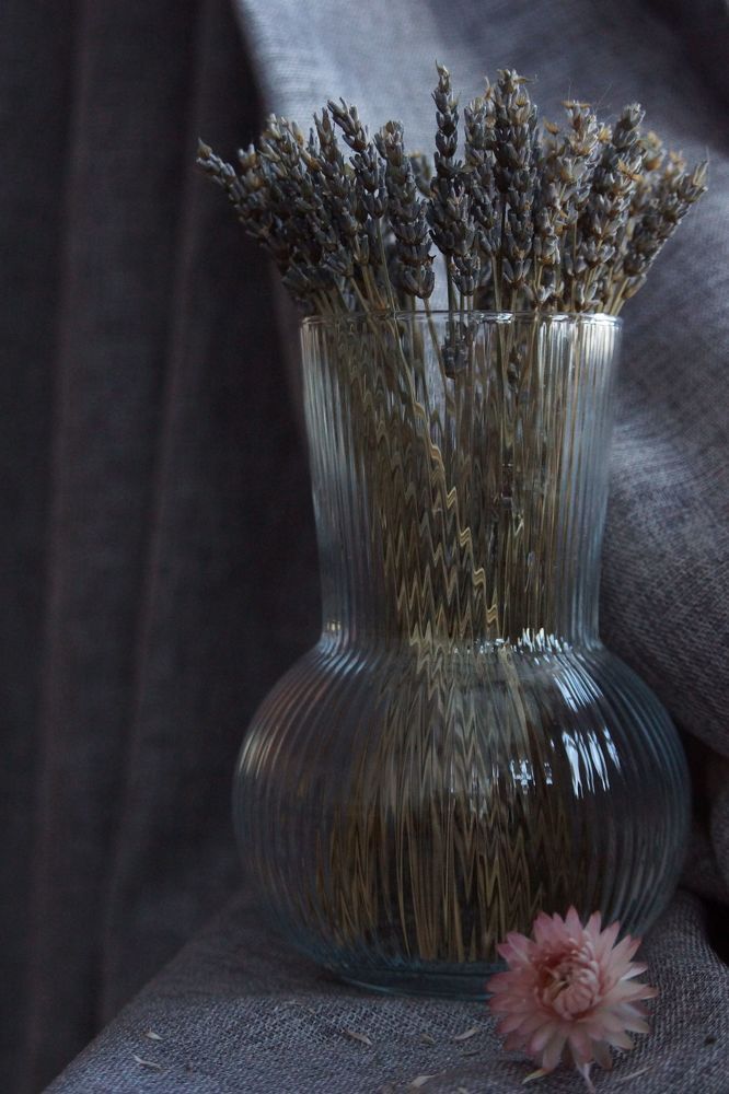 Photograph by Наталья Викторовна