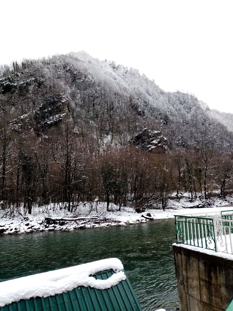 Photo #8968518