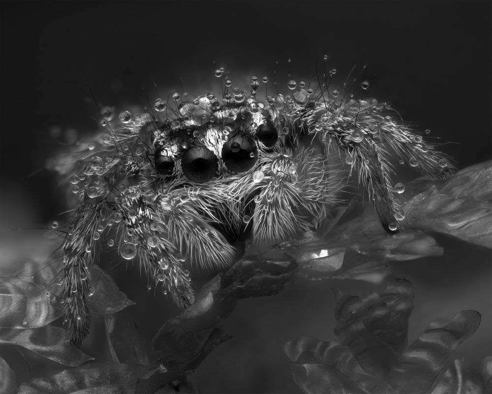 Photograph by Юрий Юрьевич