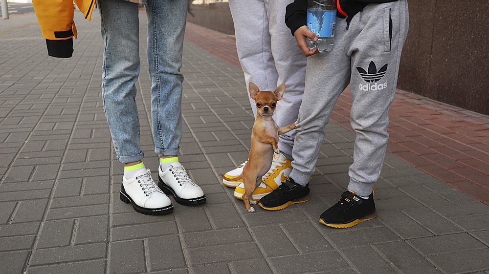 Photograph by Наталья Котько