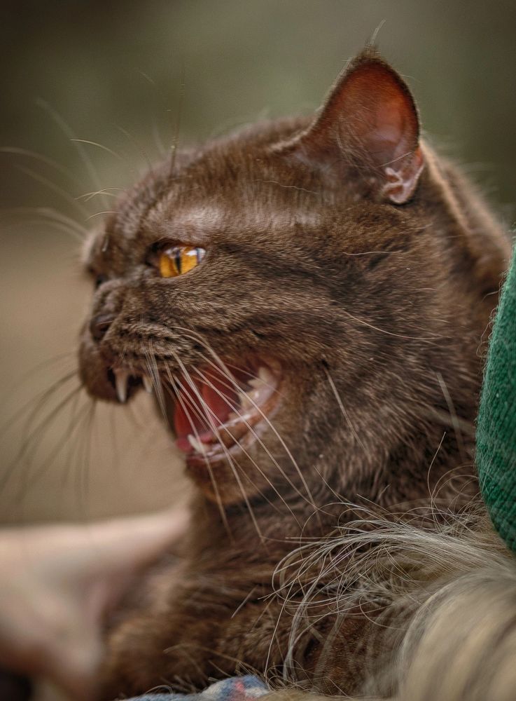 Photograph by Елена Власова