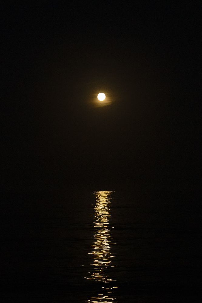 Photograph by FRANCISCO RONDON