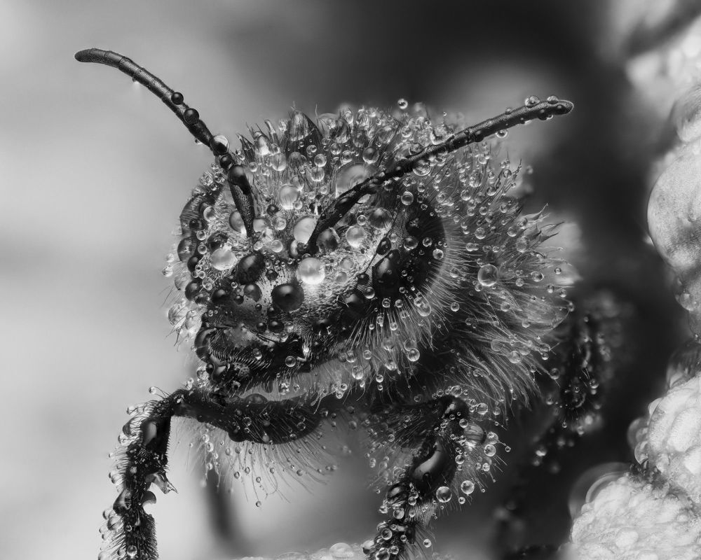 Photograph by Юрий Юрьевич