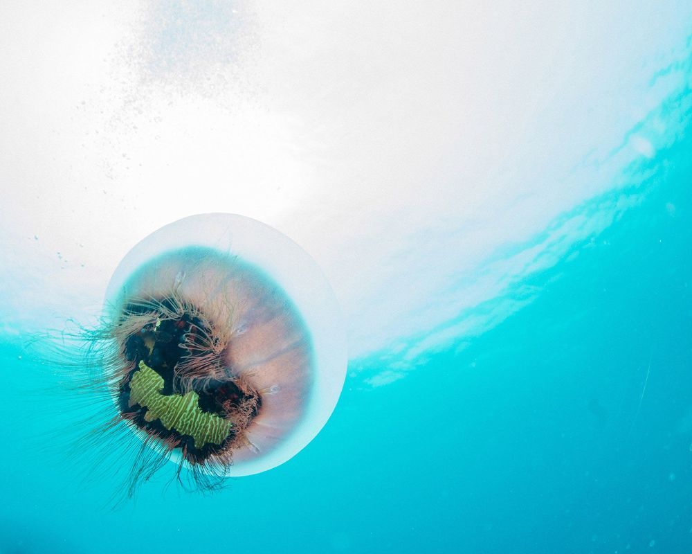 Фотография автора Евгения Кирпиченкова (Клипп)