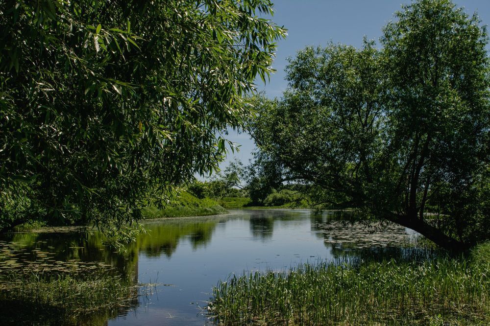 Photograph by Dmitriy Vargaz