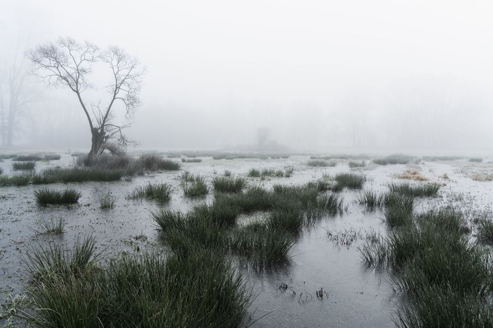 Photograph by Pieter Geens