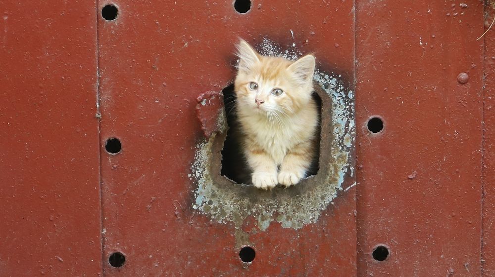 Photograph by Наталья Котько