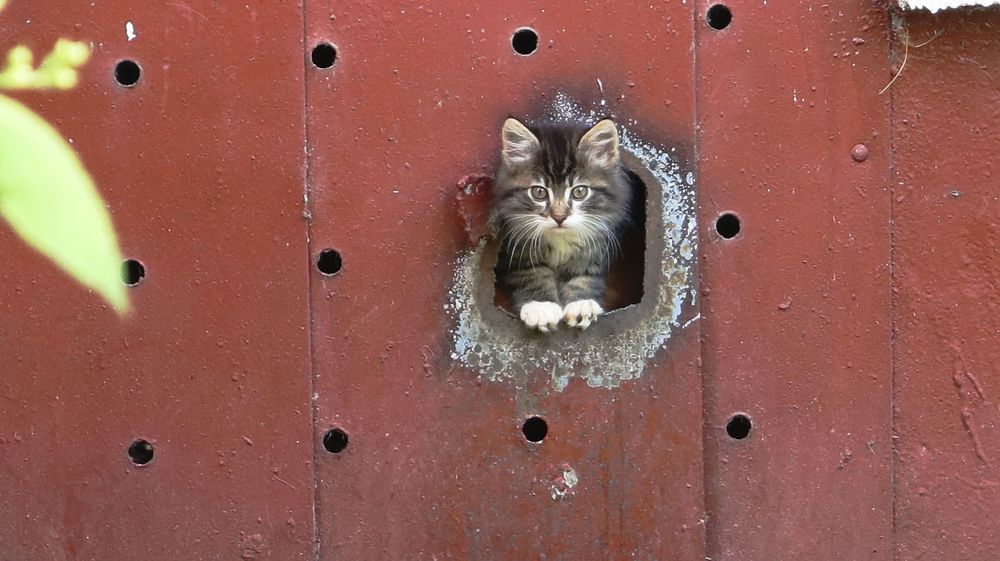 Photograph by Наталья Котько