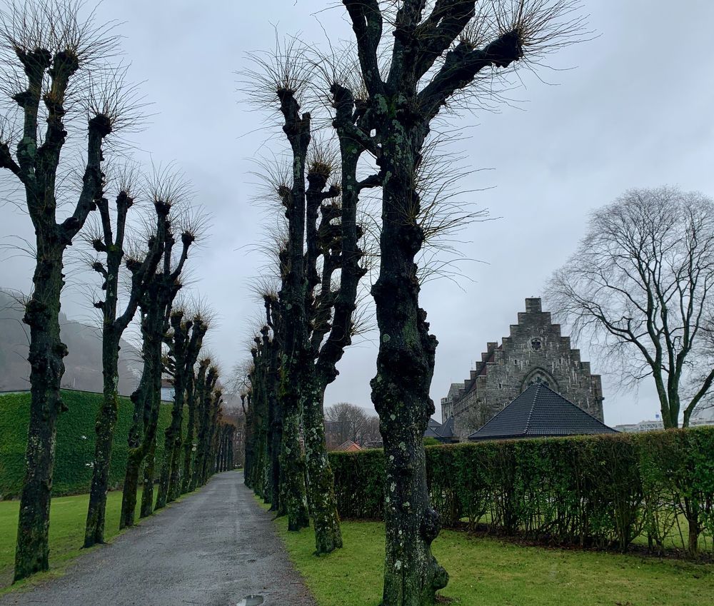 Photograph by Irina Andrienko