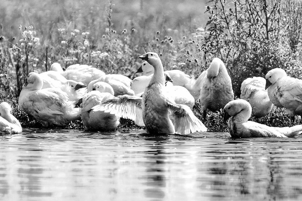 Photograph by Марина