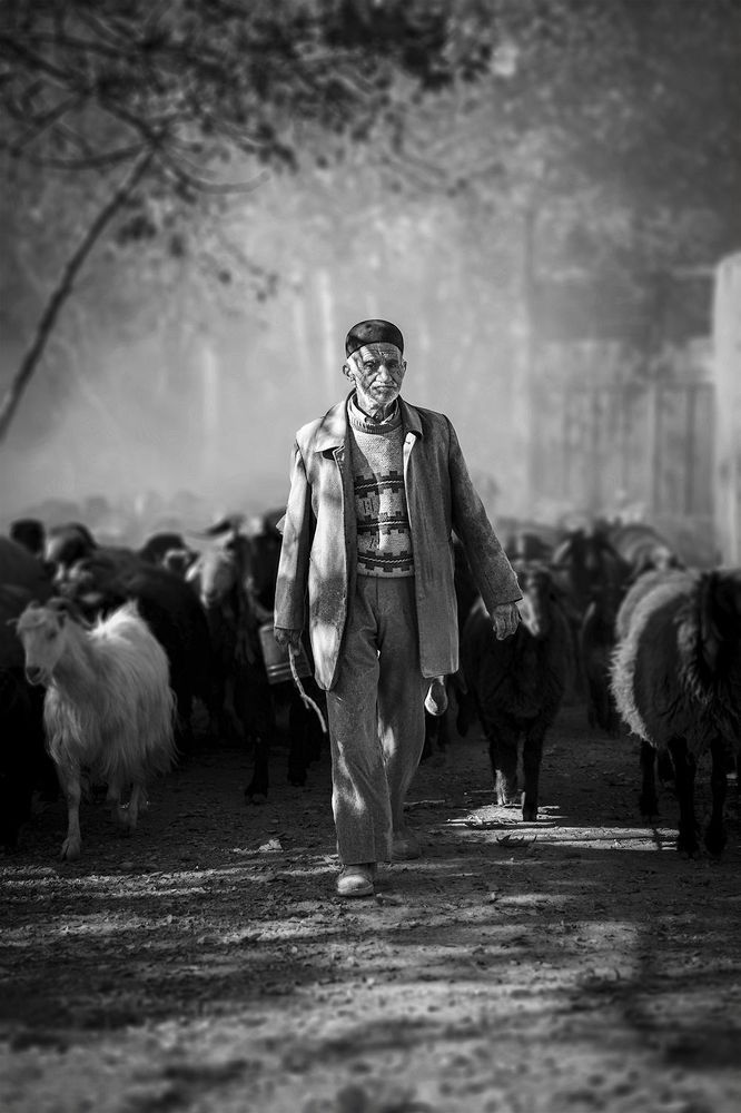 Фотография автора mohammad aref zohrabi