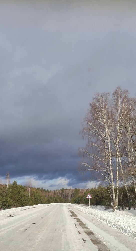 Фотография автора Васильева Ирина