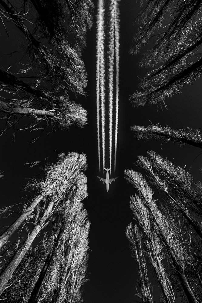 Photograph by hesamadin bagheri