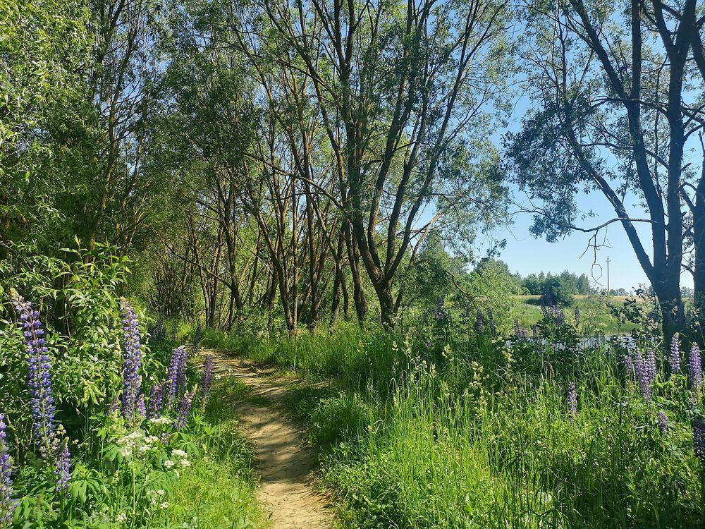 Photograph by Екатерина Борисовна Кузьмина