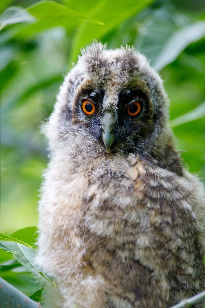 Photograph by Антон Чепуркин