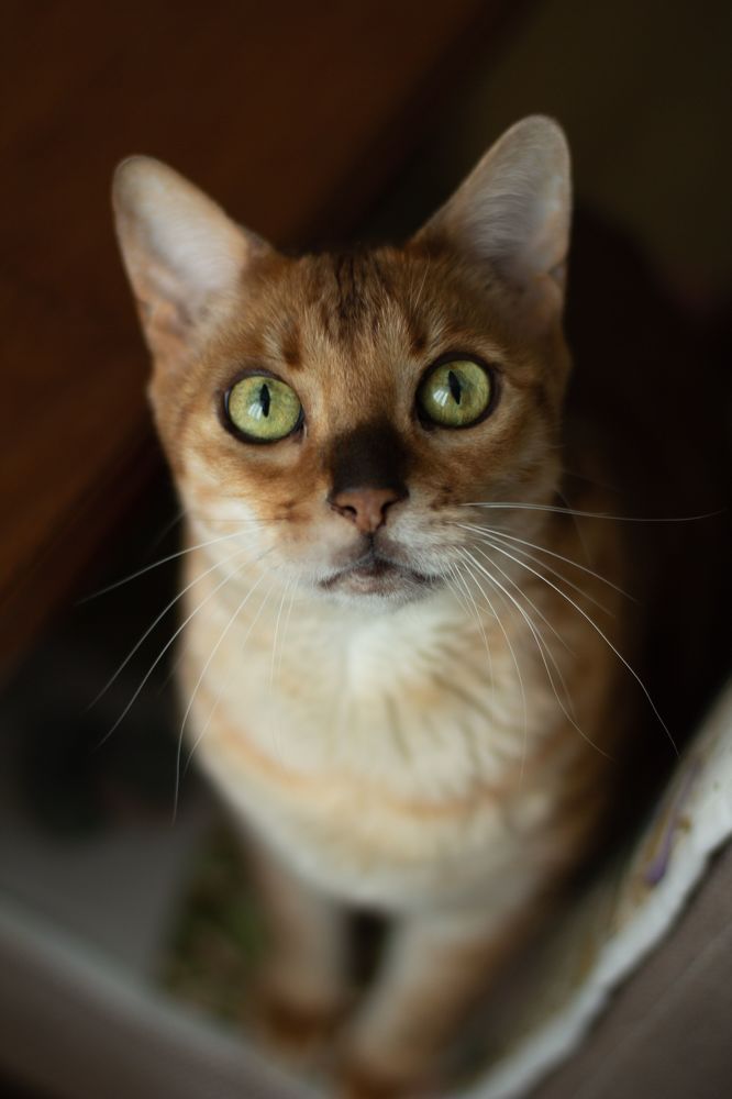 Photograph by Татьяна Гороховская