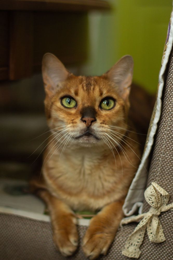 Photograph by Татьяна Гороховская