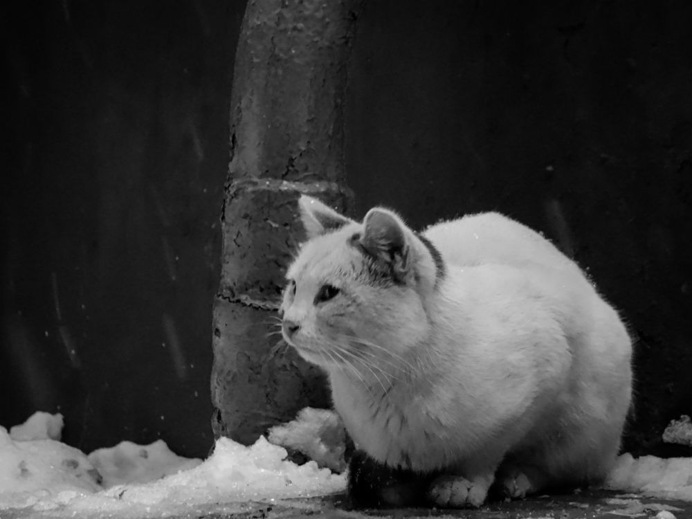 Photograph by Nataly Trofimova