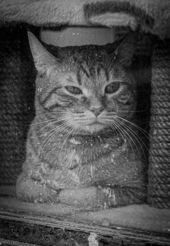 Photograph by Nataly Trofimova