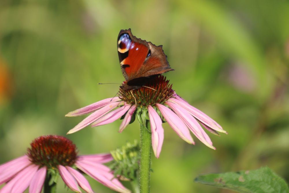 Photograph by Екатерина Апрелева