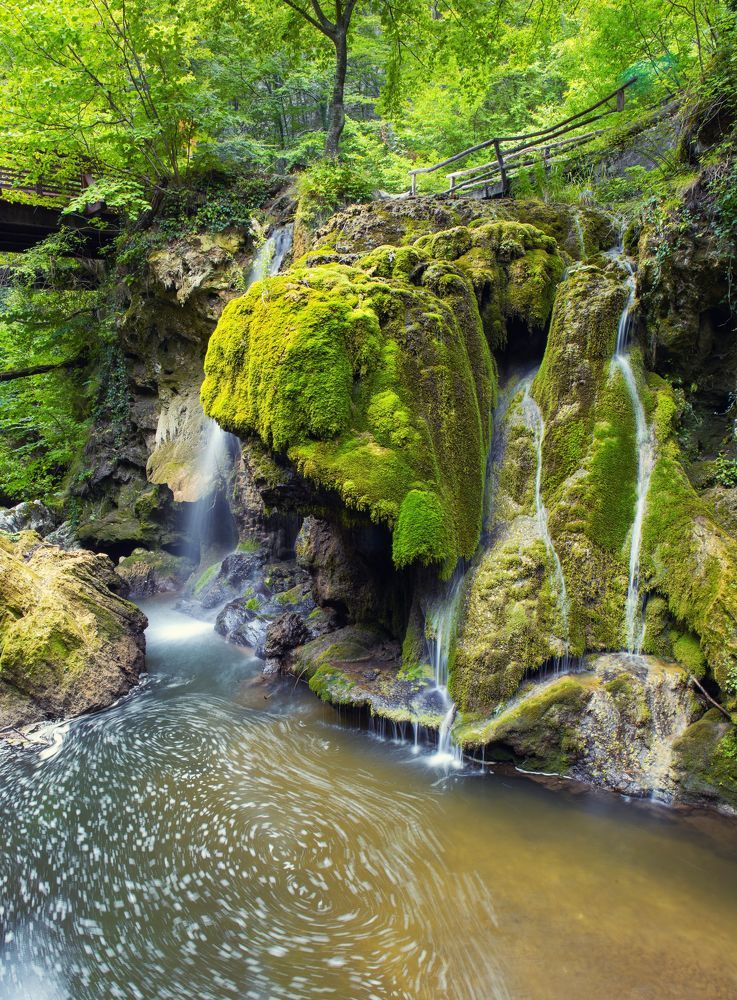 Photograph by Mihai Romeo Bogdan