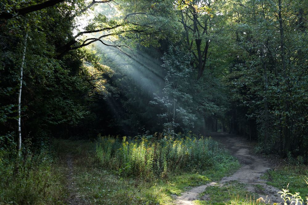 Photograph by Ольга Лукина