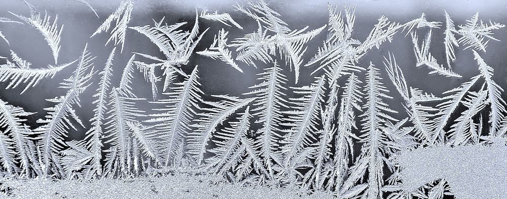 Photograph by Sergei Petrov