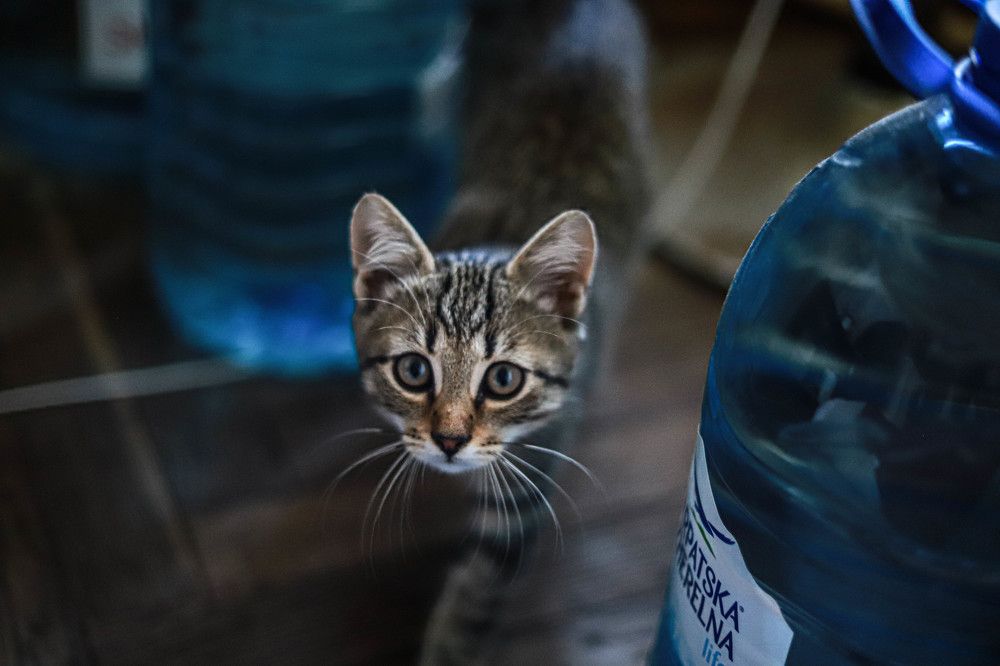 Photograph by Алиса Куличкова