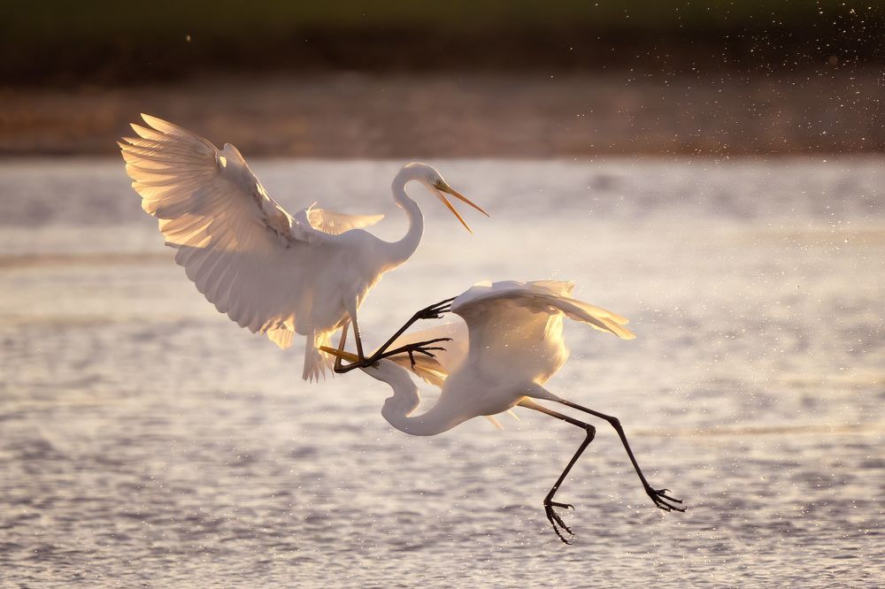 Photograph by Larianna Holm