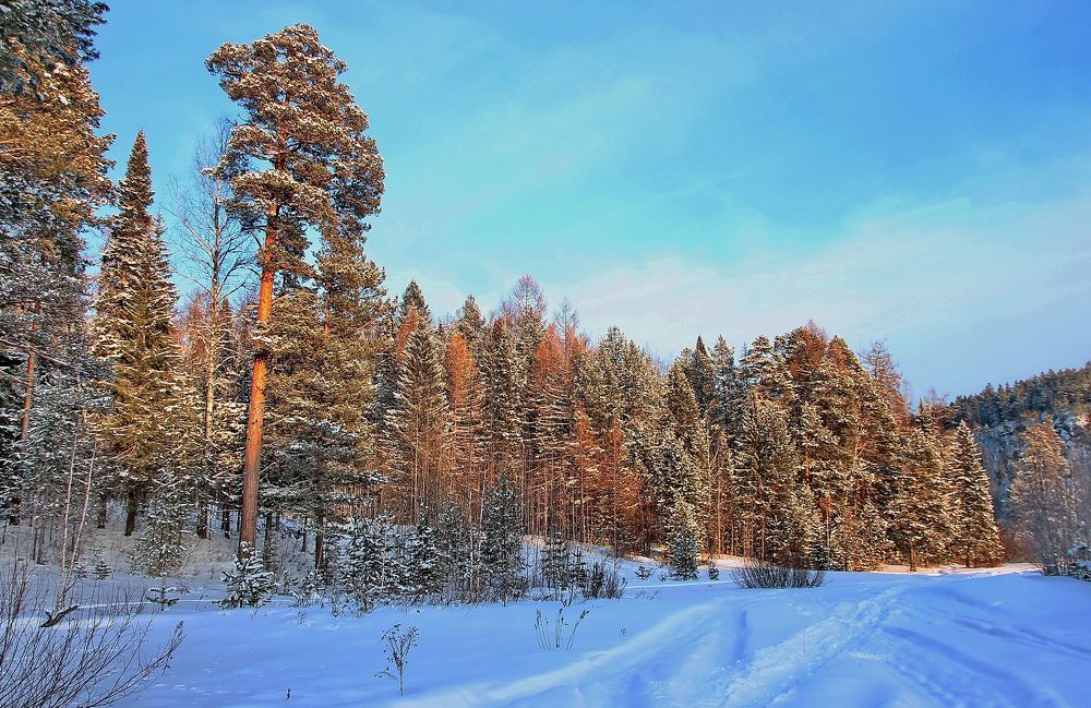 Photograph by Sergei Petrov