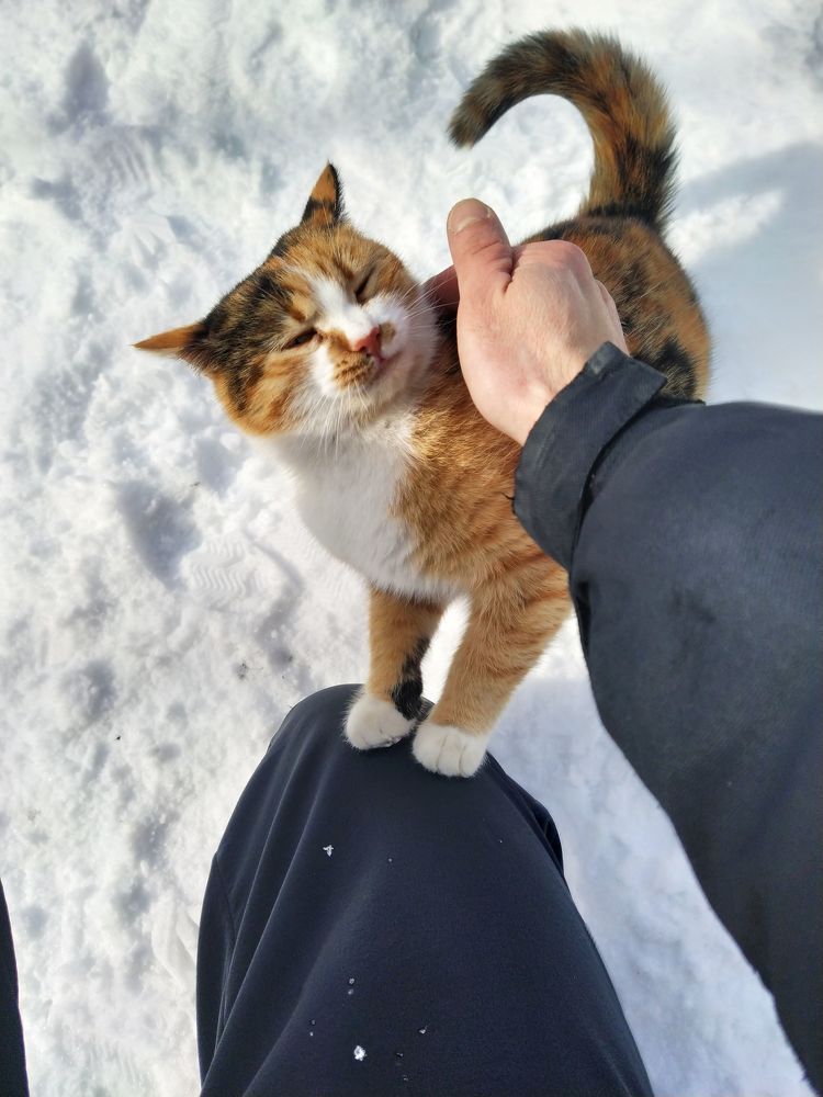 Photograph by Anton Gaev