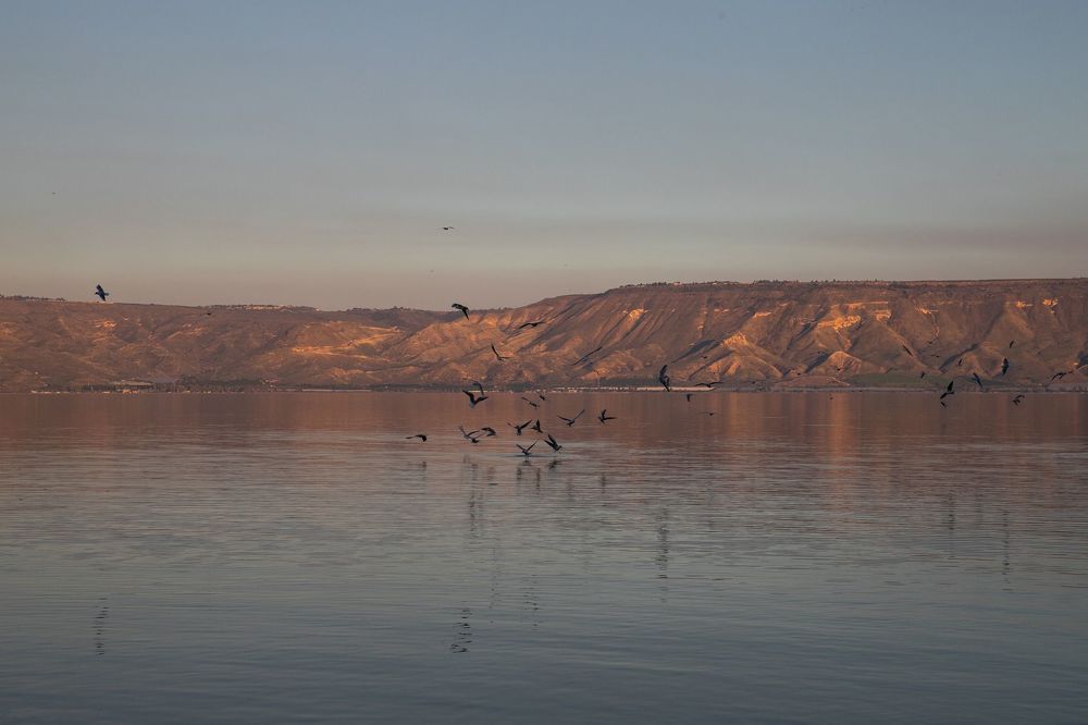 Photograph by marianna chechik