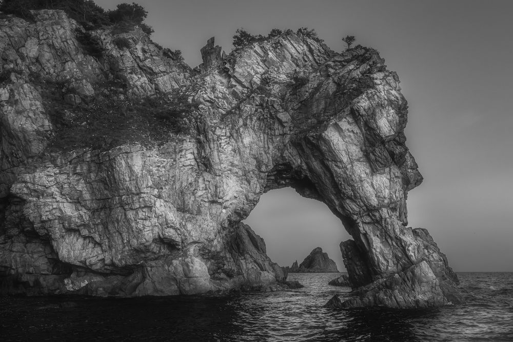 Лошадь, пьющая воду