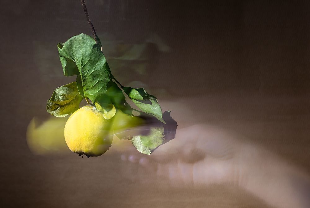 Фотография автора Larisa Klassen