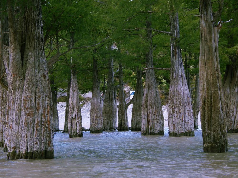 Photograph by Дмитрий Сало