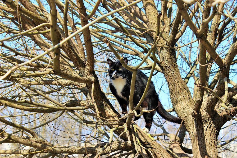 Photograph by Екатерина Апрелева