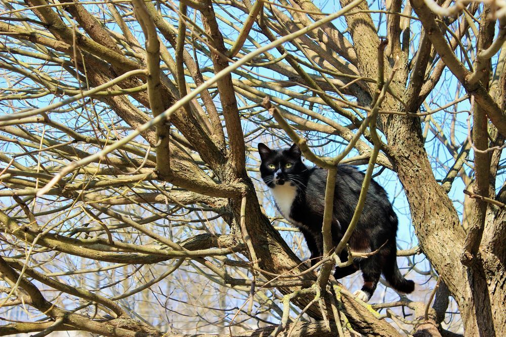 Photograph by Екатерина Апрелева