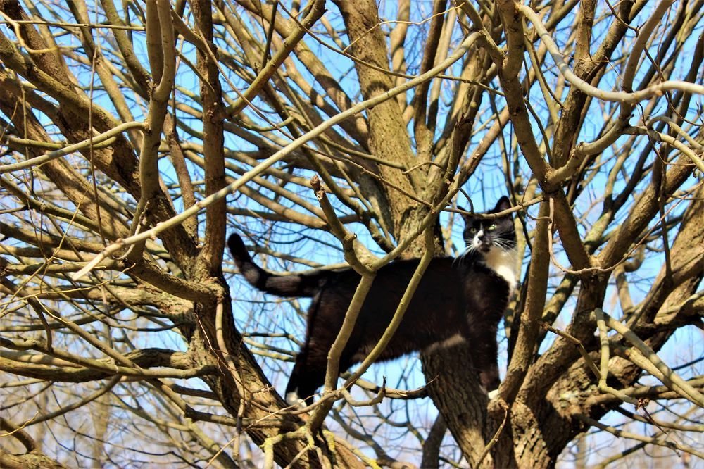 Photograph by Екатерина Апрелева